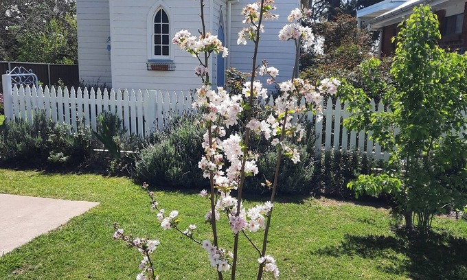 Central Mudgee Maison | Self Contained Restored Heritage c. 1914 Church