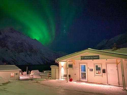 Torsken Autre | Senja Fjordcamp