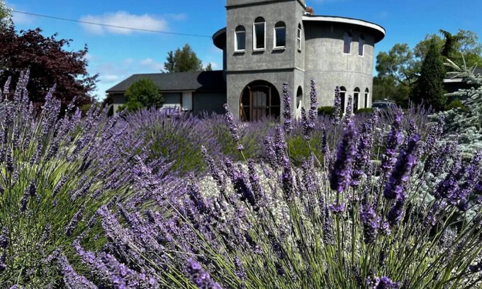 Sequim Autre | Château de lavande Sequim