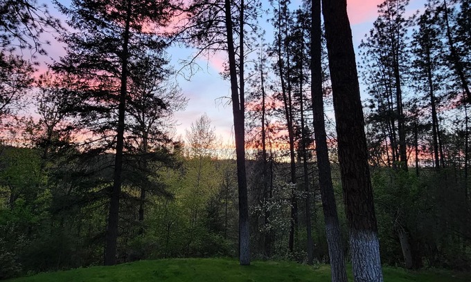 Colbert Appartement | Serene Hideaway near nature and the Little Spokane River
