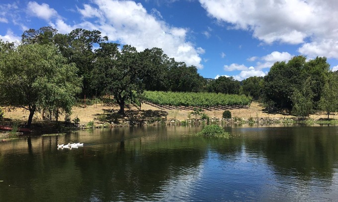 Sonoma Cottage | Serene Pied a Terre dans le Wine Country (TOT 695N)