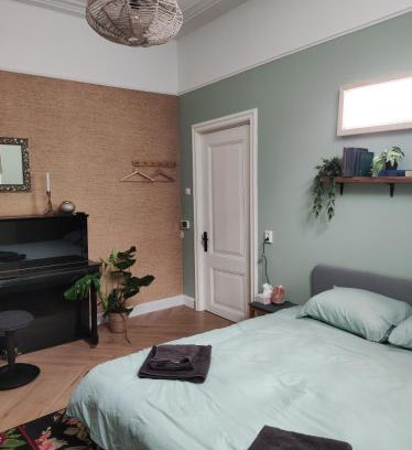 19e Eeuwse Schil Maison | Sfeervolle kamer in historisch Dordrecht vlakbij centraal station