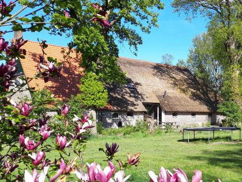 Wateren Appartement | Sfeervolle vakantiewoning midden in het Drents-Friese Wold