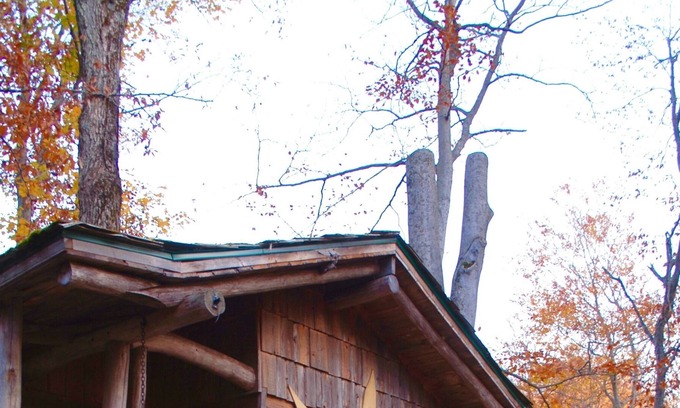 Saint-Sauveur Cabine | CABANE DANS LES ARBRES - LE SOL