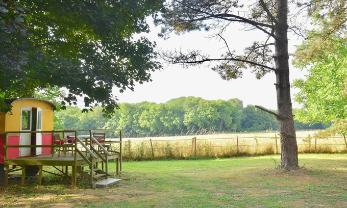 Crecy-en-Brie Appartement | Shanti-Gîte - Très Joli Gîte 150m² - Jardin 4000 m² - 10mn Disney - 35mn Paris