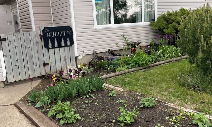 North Battleford Maison | Shared space quiet neighborhood bedroom/bath/living area with shared kitchen