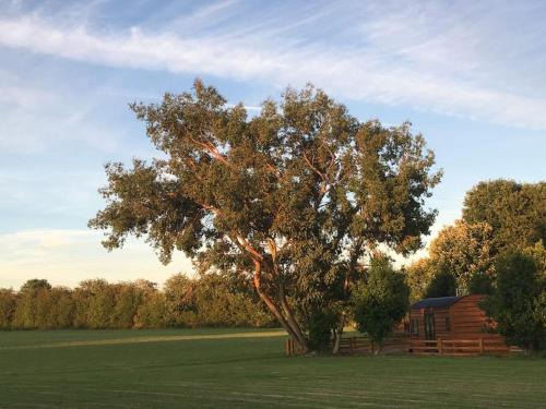 Forsbrook Maison | Shepherds Haven