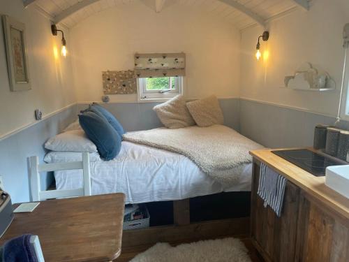 Dartmoor National Park Autre | Shepherds hut