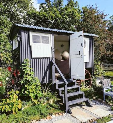 Westbourne Maison | Shepherds hut with Alpaca views