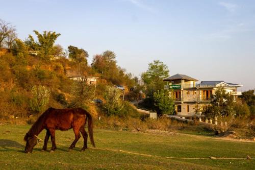 Sidhpur Lit Et Petit-Déjeuner | Shepherds Of Dharamshala