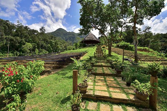 Puerto Princesa Maison | Sheridan Organic Farm and Resort