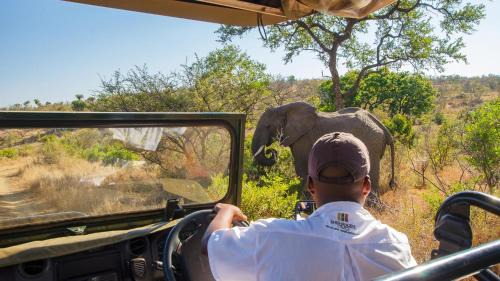 Kruger National Park Chalet De Ski | Shishangeni Lodge In Kruger National Park