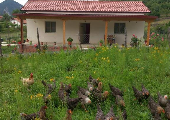 Sakës Maison | Shpija E AMEL (Sweet Guest House)