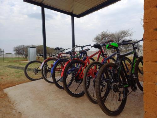 Mmabatho Autre | Shumba Camping Site