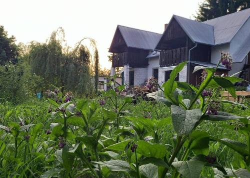 gmina Karczmiska Appartement | Siedlisko Po Kolei - blisko Kazimierza Dolnego