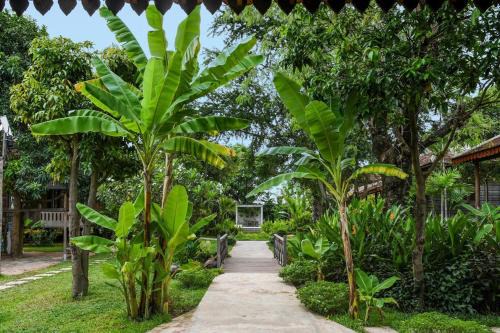 Siem Reap Maison | Siem Reap Lodge Eecfc Homestay VSV