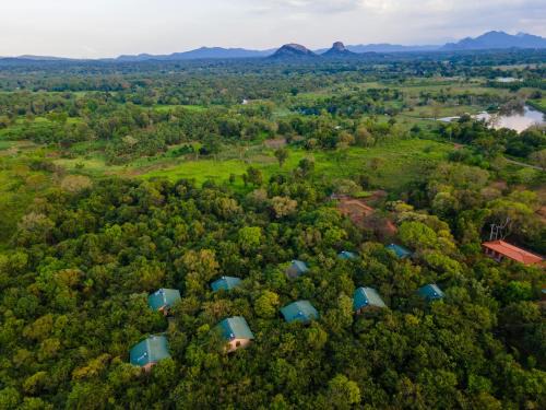 Dambulla Station Balnéaire | Sigiriya Forest Edge By Marino Leisure
