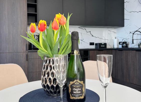 Skoczow Appartement | Silesia Apartments Ustron H125
