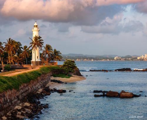 Galle Maison | Silva Nest - Galle