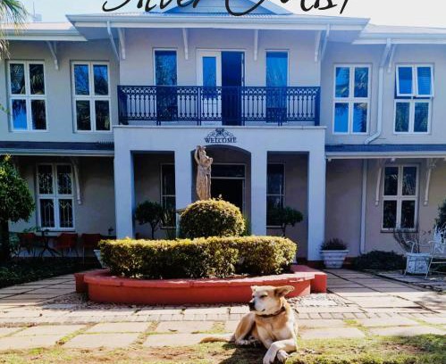 Kaapsehoop Maison | Silver Mist Guest House, Country Inn and Herberg