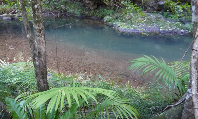 Cougal Station Balnéaire | Sine Cera Rainforest Retreat