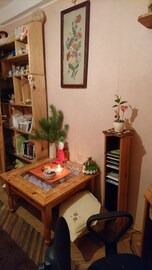 Dniprovs'kyi District Appartement | Singl room in Киев
