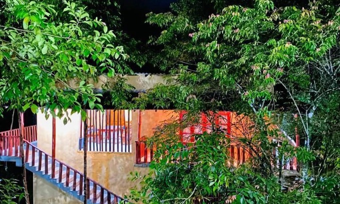 Nelluwa Cabine | Sinharaja Eco Lodge