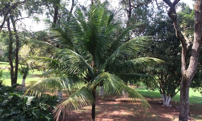 Brotas Maison | Sitio Três Saltos SP