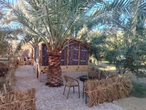 Siwa Cabine | Siwa Gardenia Cottage اكواخ سيوة جاردينيا
