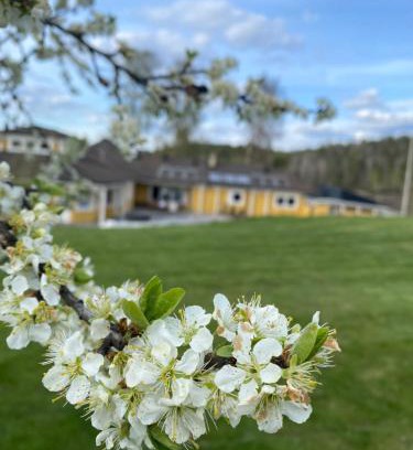Valdemarsvik Appartement | Skönero, Valdemarsvik