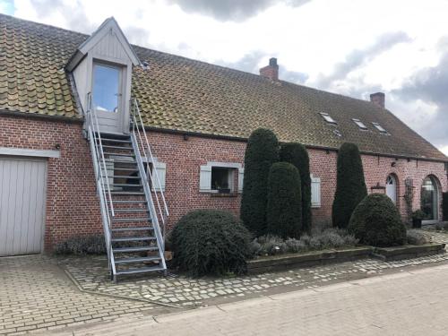 Vlimmeren Appartement | slapen bij alpacas