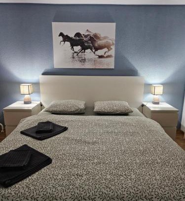 Goeschenen Appartement | Sleep here