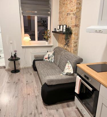 Vilnius Appartement | Sleep in history COZY LOFT