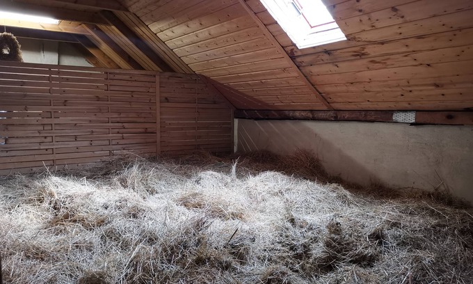 Lauta Maison | Dormir sur le lit de paille / foin - Ferienhof Sarodnick
