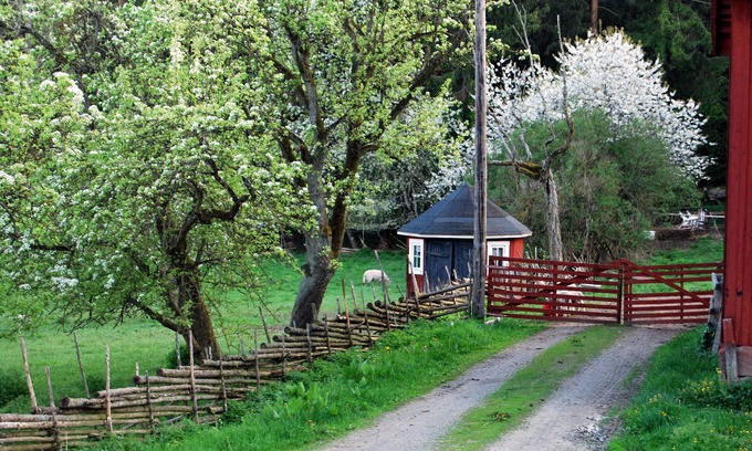 Gamleby Maison | Smultronboda Fårgård