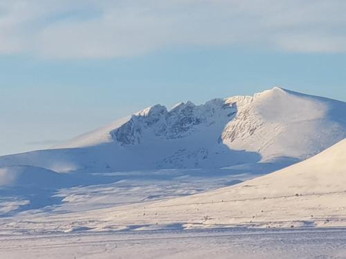 Hjerkinn Autre | Snøhetta Camping