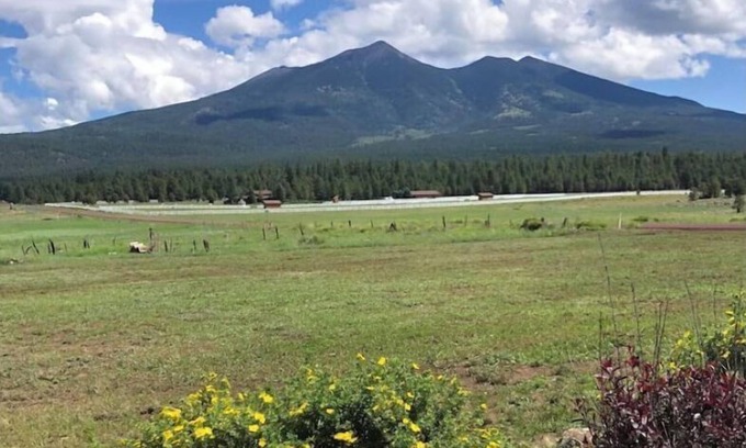 Fort Valley Maison | Snowmaking is underway, Live, love, SKI!