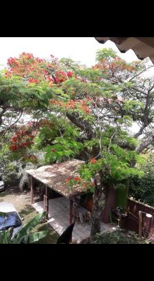 Arroio do Sal Maison | Sobrado com vista profissional do mar