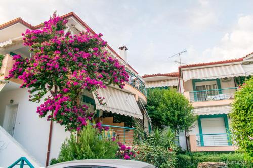 Pefkochori Appartement | sofi-fellia