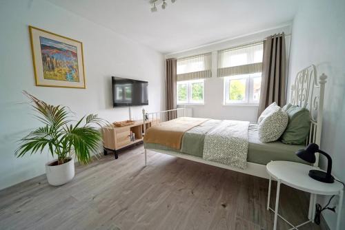 Paslek Appartement | Soft Apartamenty na Starówce