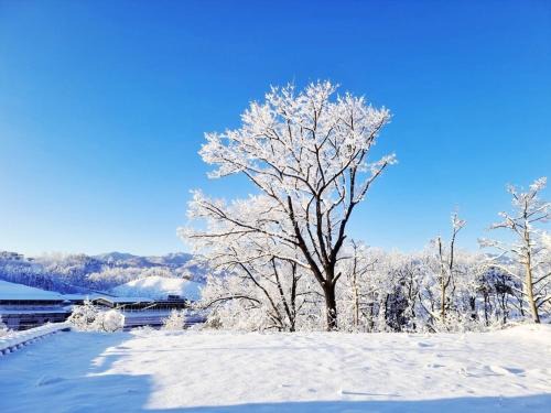 Sokcho Maison | Sokcho Ulsanbawi Bed and Breakfast