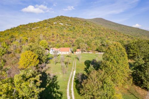 Municipality of Gracac Station Balnéaire | SOKOL - Secret forest house
