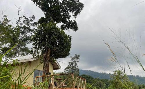 Gomara Cabine | Solitary Cottage Dunhinna