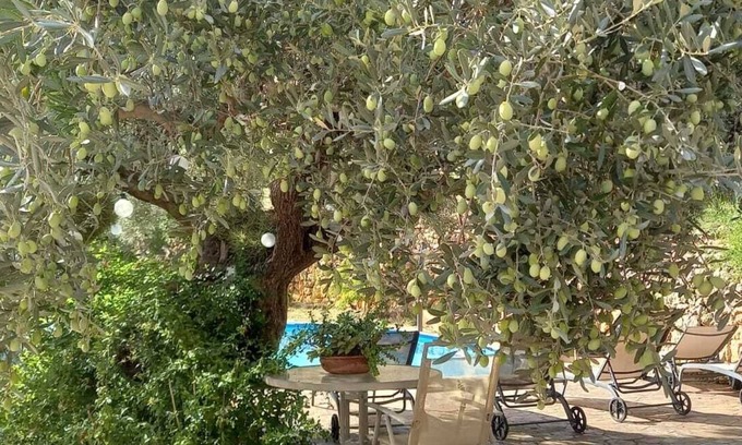 Caimari Cottage | MAISON EN PIERRE DE TRANQUILITE SOLIDE
