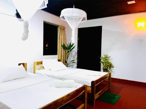 Pallebedda Hôtel | Solo's Shelter Hostel Udawalawa