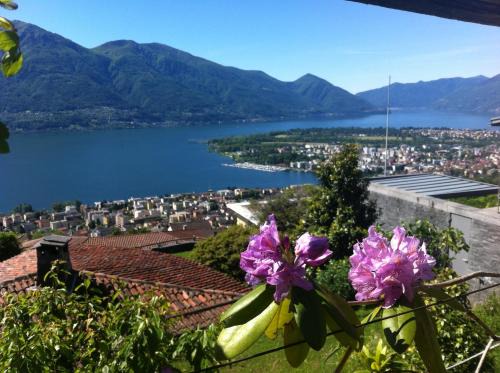 Brione sopra Minusio Appartement | Sonnenstrahl