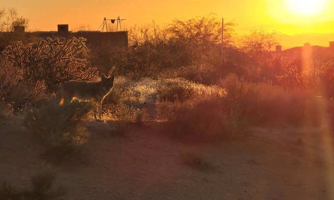 Pinnacle Peak Maison | Sonoran Desert Retreat - Quiet, Gated, Custom home with Incredible SUNSETS !