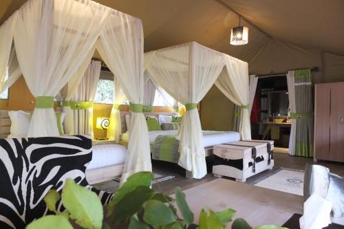 Mara North Conservancy Autre | Soroi Private Wing