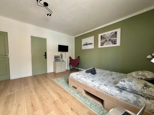 Chatellerault Appartement | Spacieux et confortable en plein centre - Studio Vienne