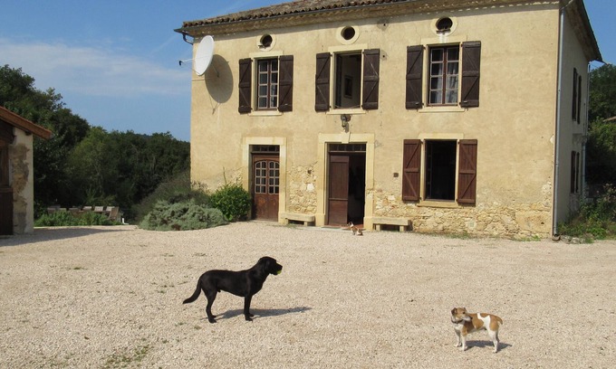 Boussan Autre | Ferme de luxe avec piscine privée sur un terrain de 18 ha